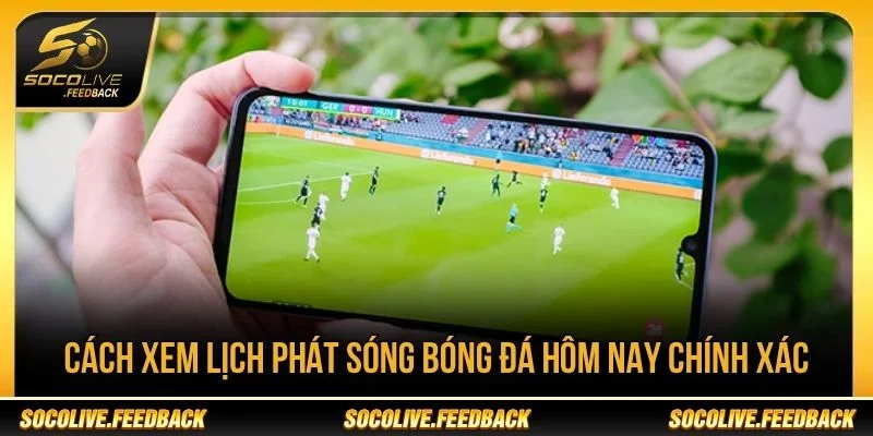 Lịch Phát Sóng Bóng Đá Hôm Nay - Giờ Đá Mới Nhất Hướng dẫn tra cứu lịch phát sóng chính xác